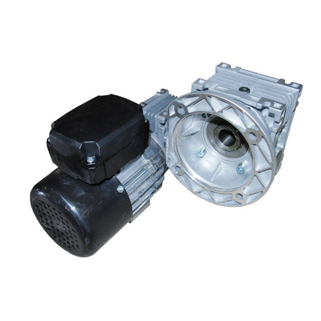 Motoreduktor EWMAR GROSZEK 1 - 0,9 kW - przełącznik P/L - przewód 3 metry